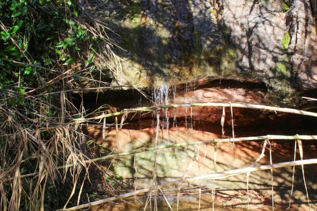 Ferienwohnung El Raco Al Riu De Montserrat Monistrol de Montserrat Exterior foto